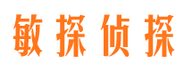 忻城市侦探公司